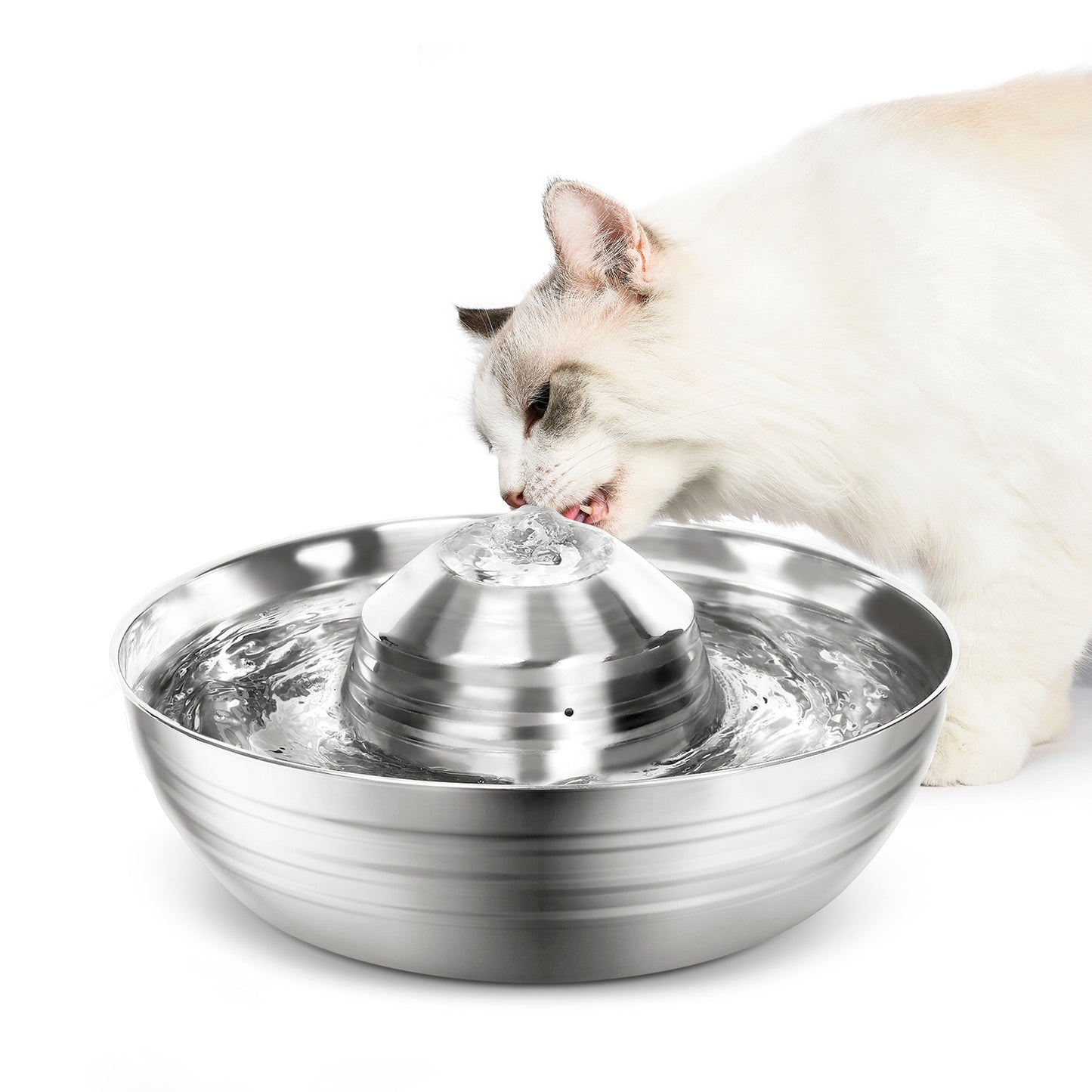 Ring 360 stainless steel pet water fountian