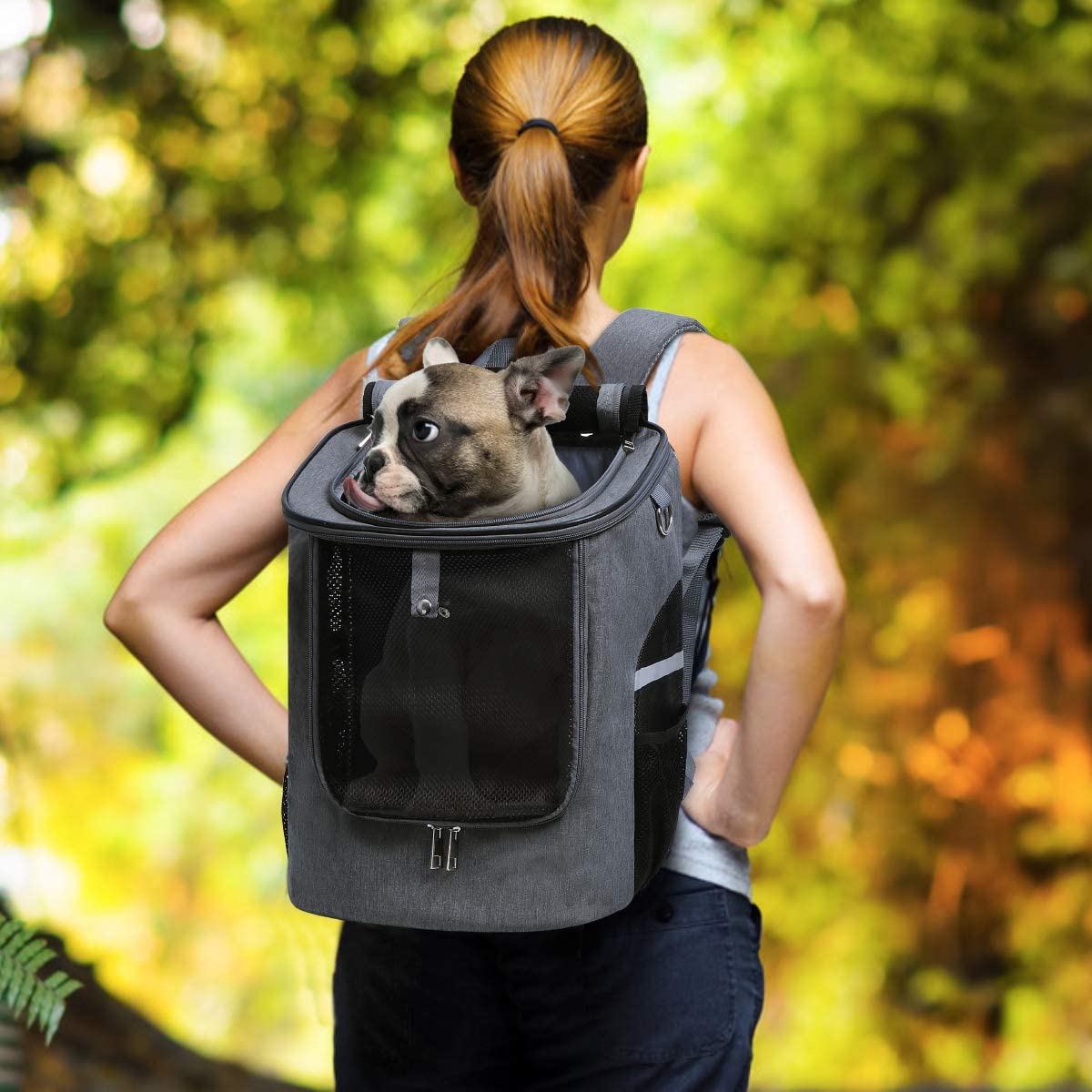 Cylinder Pet  Dog & Cat Backpack
