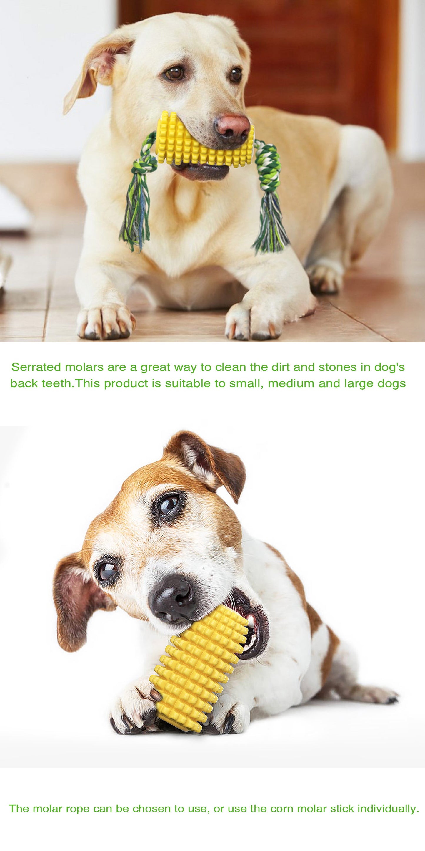 Corn Molar with rope/For dogs