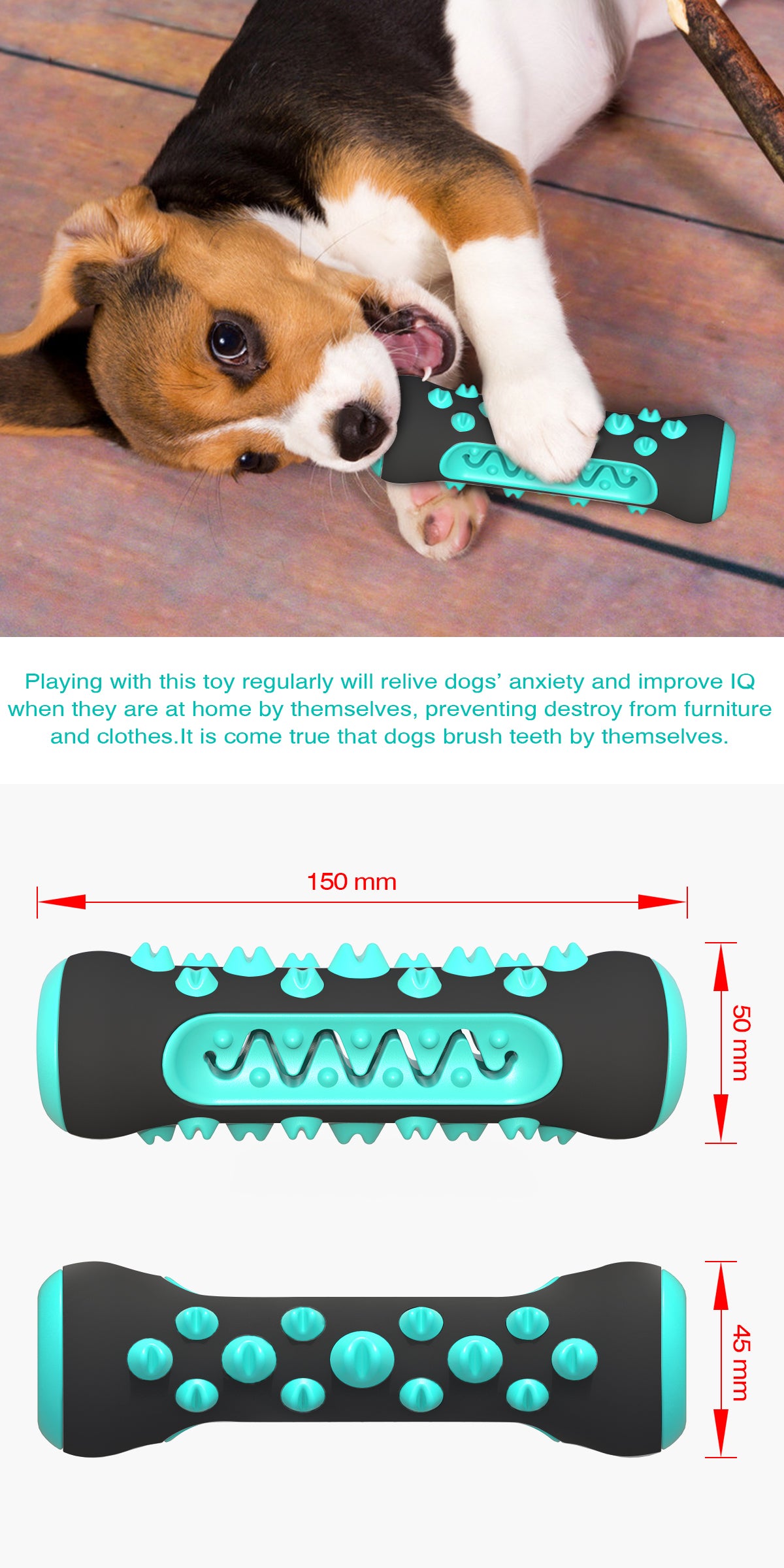 Bone Dog Toothbrush/for Dogs (Medium and Large Dogs)