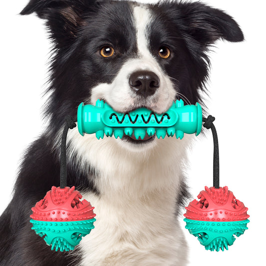 Pet dog serrated molar toy set/Dumbbell type A/For dogs