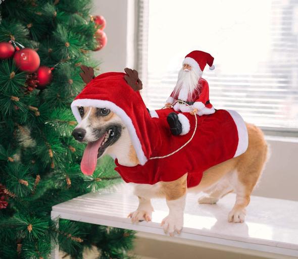 Premium Christmas Pet Dog Costume