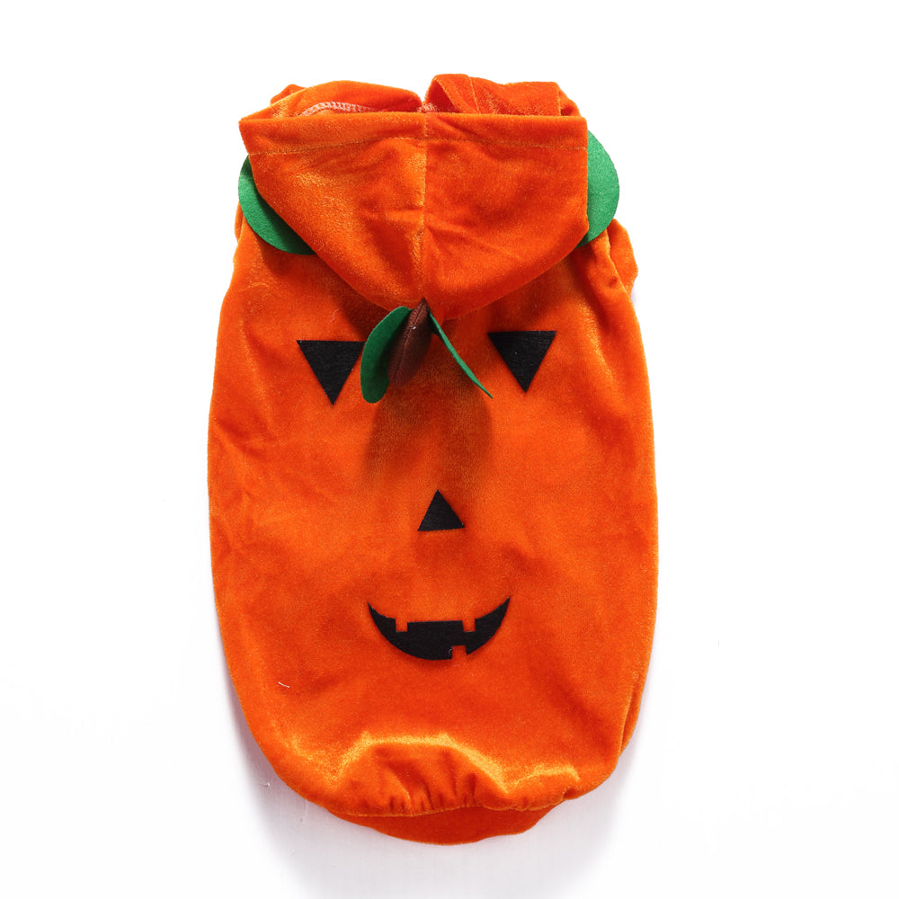 Pumpkin costume