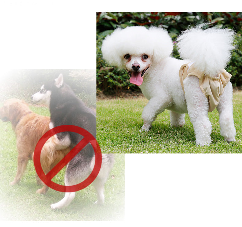 Reusable Female Dog Diapers Washable Pet Panties Underwear