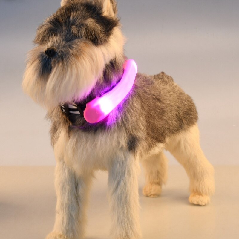 Pet Dog LED Light Glowing Bandage Collar Accessories Silicone Straps Security Warning Lights