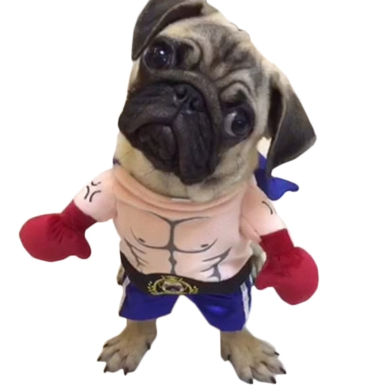 Funny Dog Cat Costumes Boxer Cosplay Suit