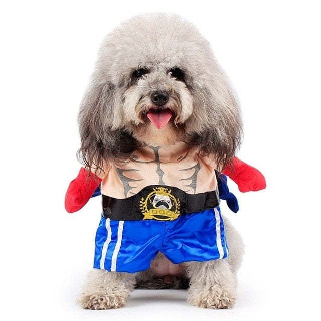 Funny Dog Cat Costumes Boxer Cosplay Suit