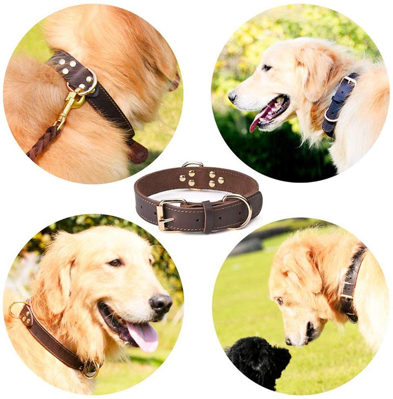 Quality Genuine Leather Dog Collar Durable Vintage Heavy-duty Rustproof Double D-Ring Pet Collar