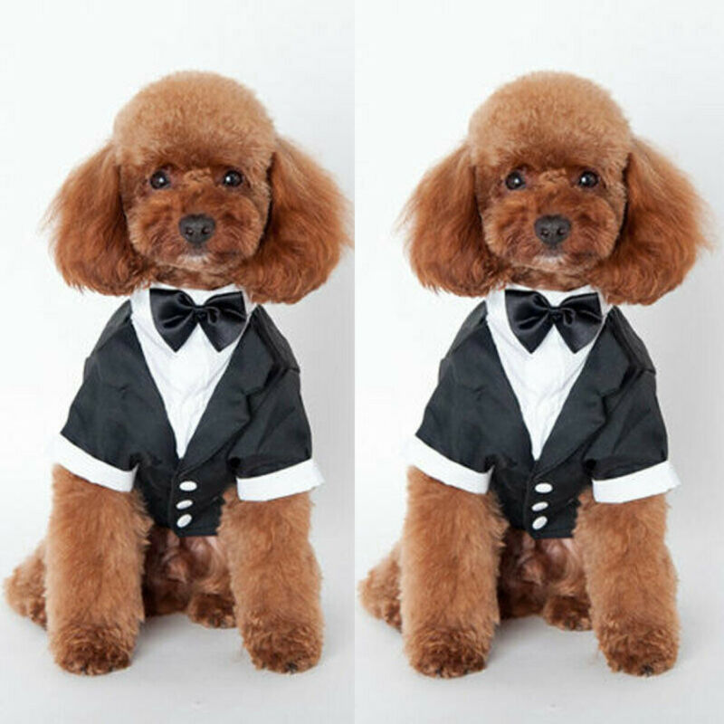 Small Pet Dog Cat Clothing Prince Wedding Suit Tuxedo Bow Tie