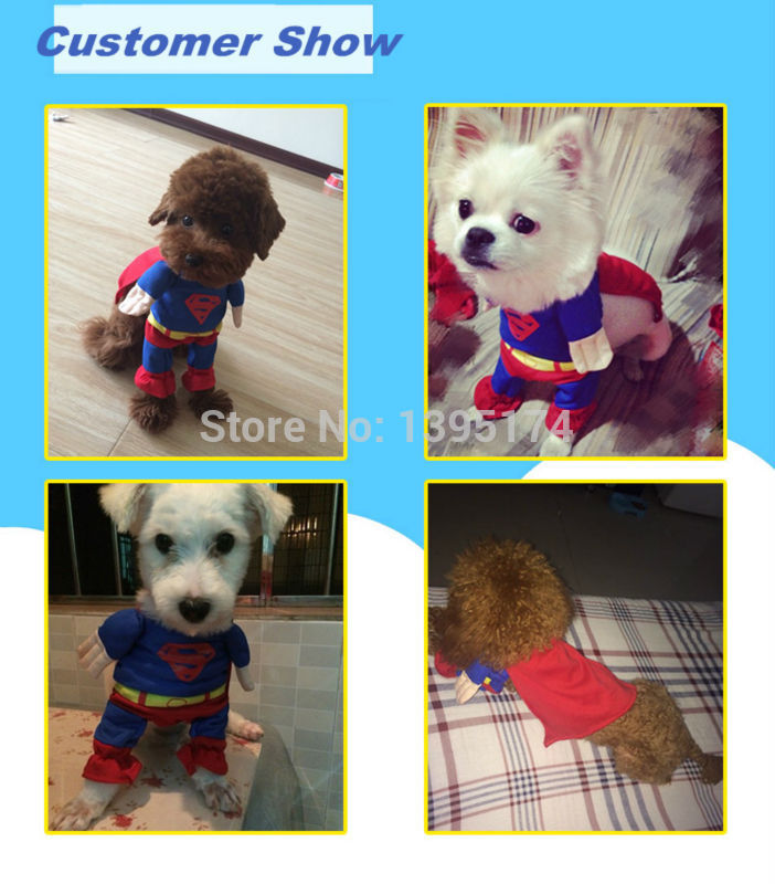 Funny Dog Clothes Halloween Costume Puppy Coat
