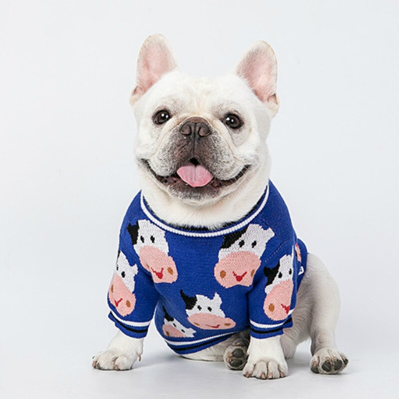 Winter Cute Sweater for Small Dogs