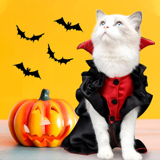 Halloween Black Cat Costume Pet Vampire Funny