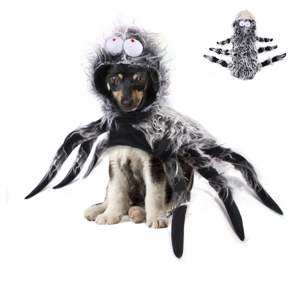 Dog Costumes For Small Dogs Funny Spider Costume