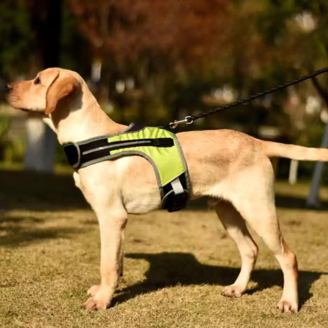 LED Luminous Dog Harness Light Up Dog Chest Strap Vest