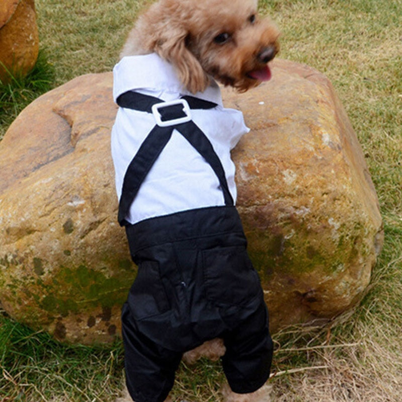 Gentleman Dog Clothes Wedding Suit Formal Shirt