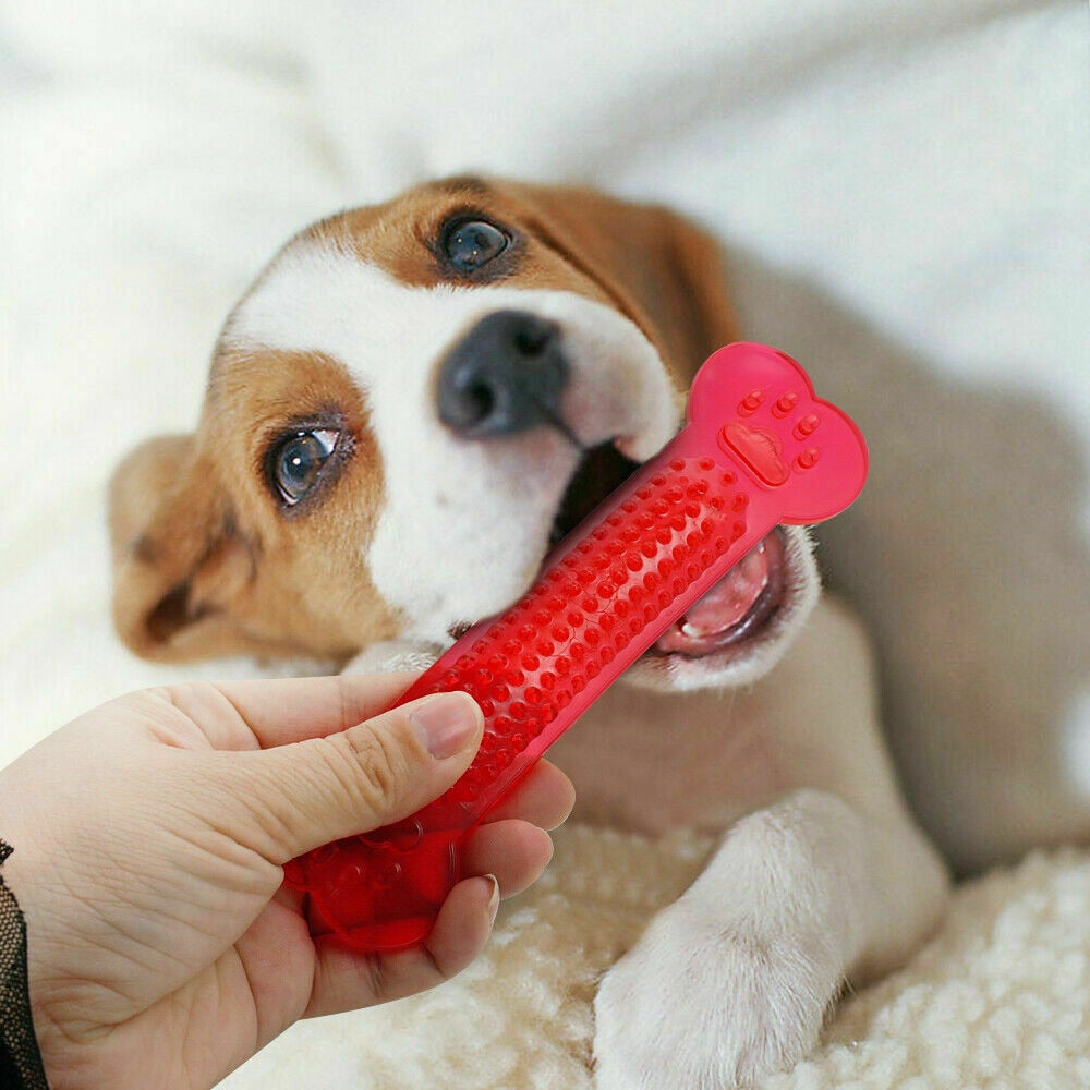 Pet Dog Chew Toys Rubber Bone Toy Aggressive Chewers Dog Toothbrush