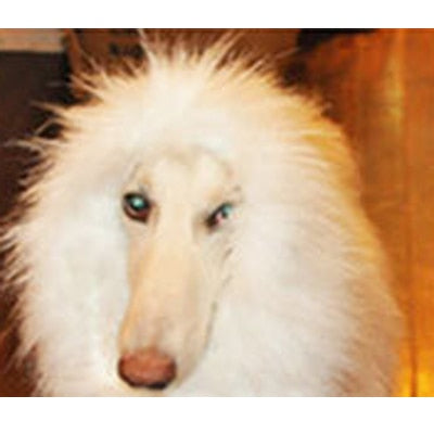 Pet Dog Lion Mane Wig Hair Decor Dog Wig Hair Halloween Costume