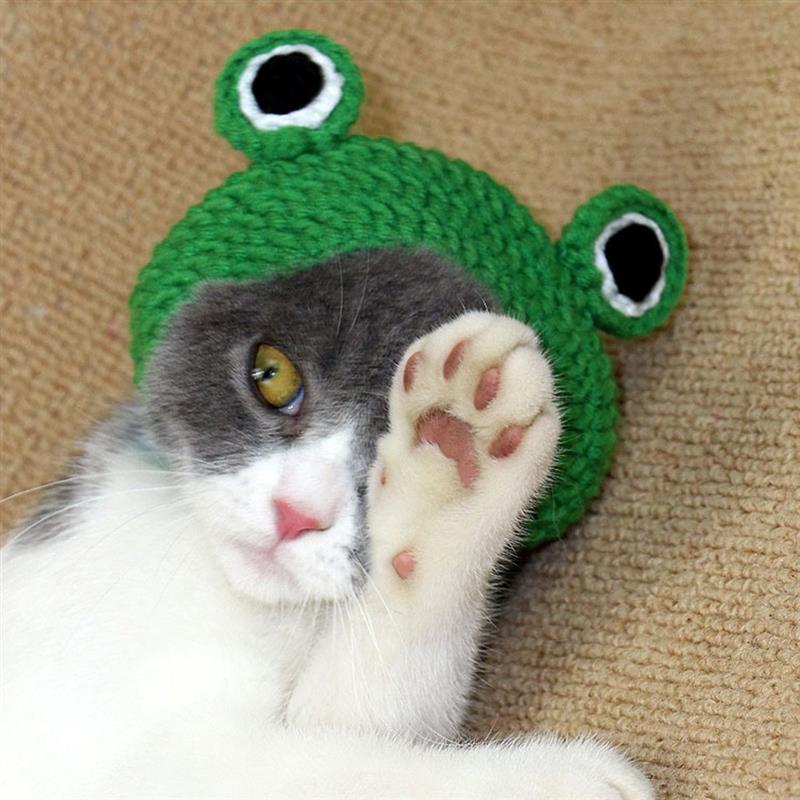 Knitting Wool Pet Hat Cute Cat Headwear Frog Puppy Kitten Hat