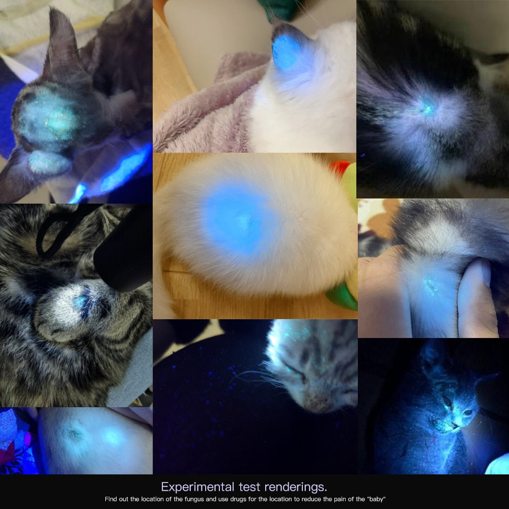 Wood'S Lamp Test Fungus Moss Pet Cat Dog Skin Light Skin Ultraviolet Light