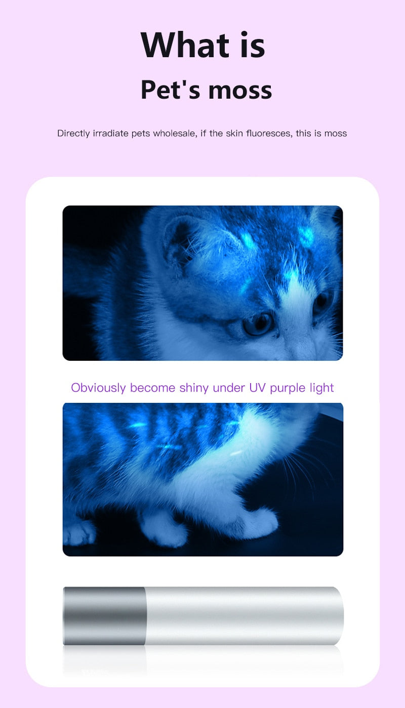 Wood'S Lamp Test Fungus Moss Pet Cat Dog Skin Light Skin Ultraviolet Light