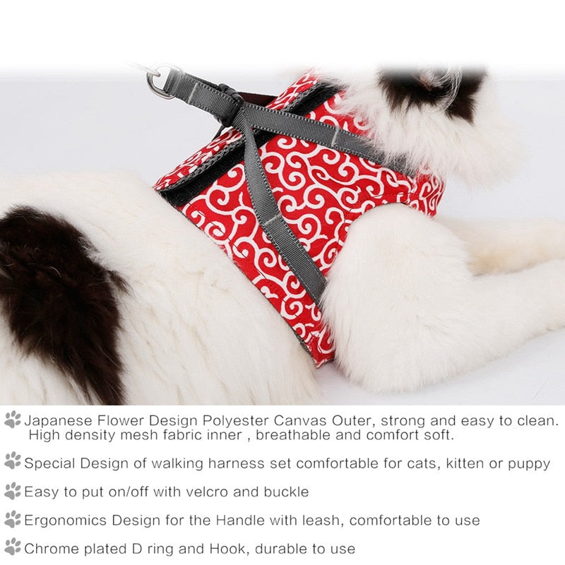 Pet Cat Vest Outdoor Travel Harness Leash Set