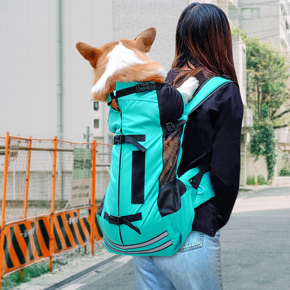 Outdoor Pet Dog Carrier Bag for Small Medium Dogs