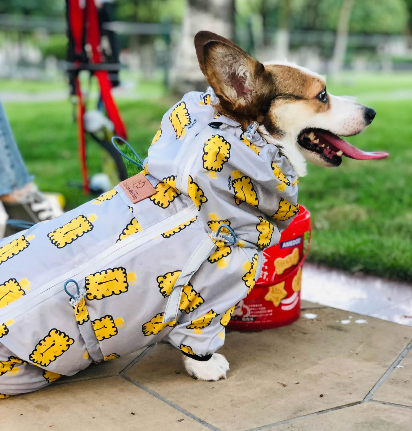 Pet Clothing Waterproof Dog Raincoat