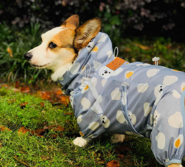 Pet Clothing Waterproof Dog Raincoat