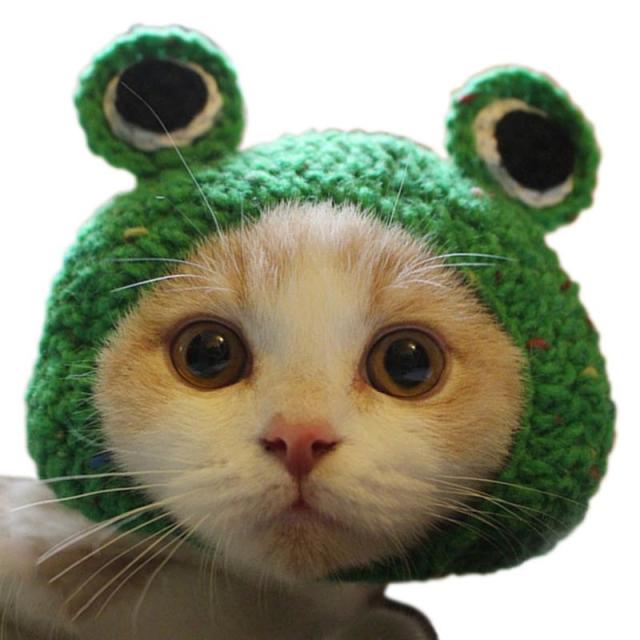 Knitting Wool Pet Hat Cute Cat Headwear Frog Puppy Kitten Hat