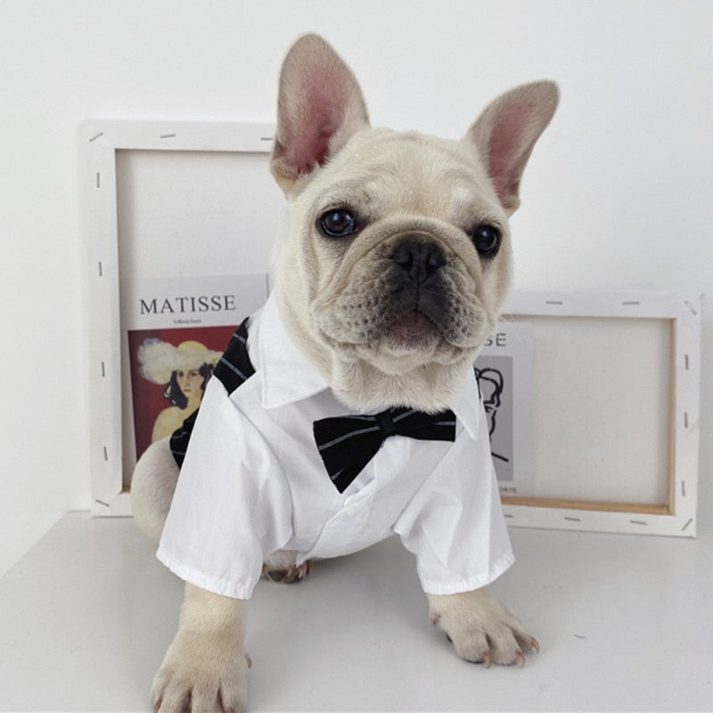Costume Formal Tuxedo With Bow Tie Puppy Cat Bulldog Clothing