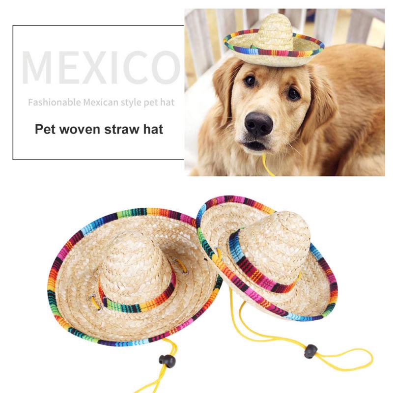 1pcs Trendy Pet Dog Hat