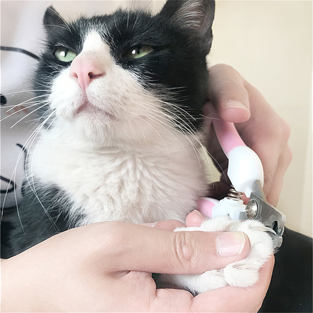 Professional Pet Stainless Steel Nail Clippers for Dog Cat