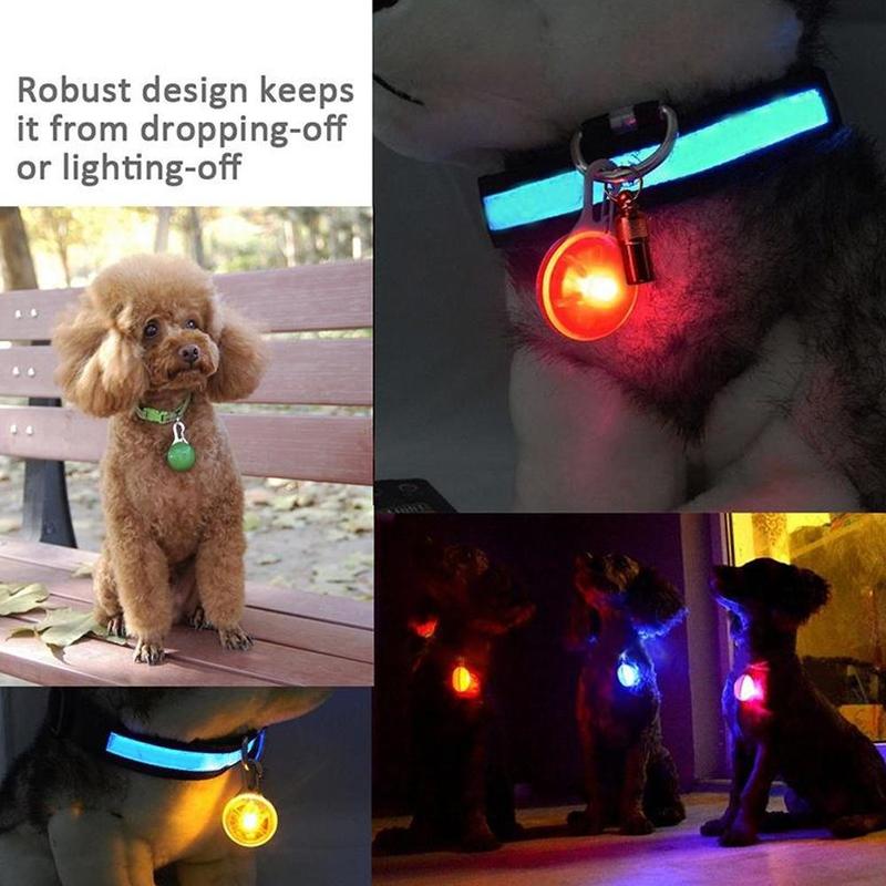 Pet Dog Collar Portable To Carry LED Pendant Illuminated