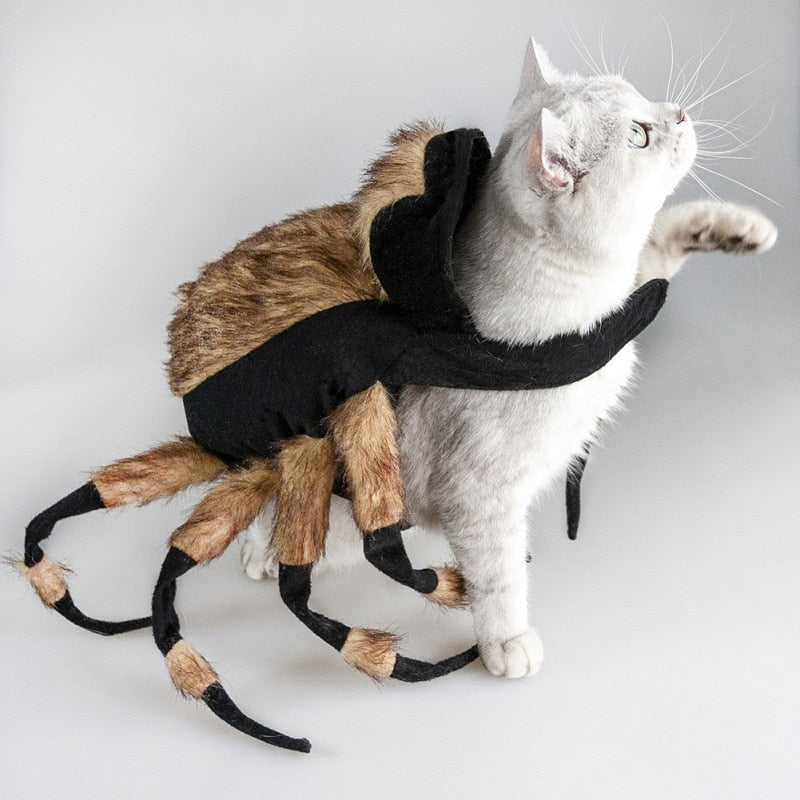 Halloween Spider Clothes For Pet Dog Cat Funny Spider Costumes Dressing Up