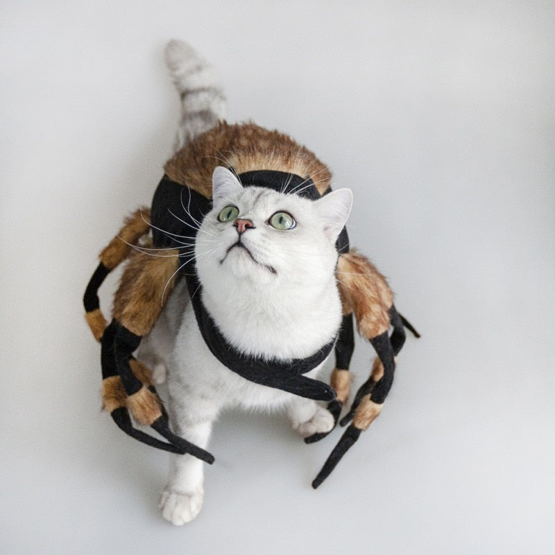 Halloween Spider Clothes For Pet Dog Cat Funny Spider Costumes Dressing Up