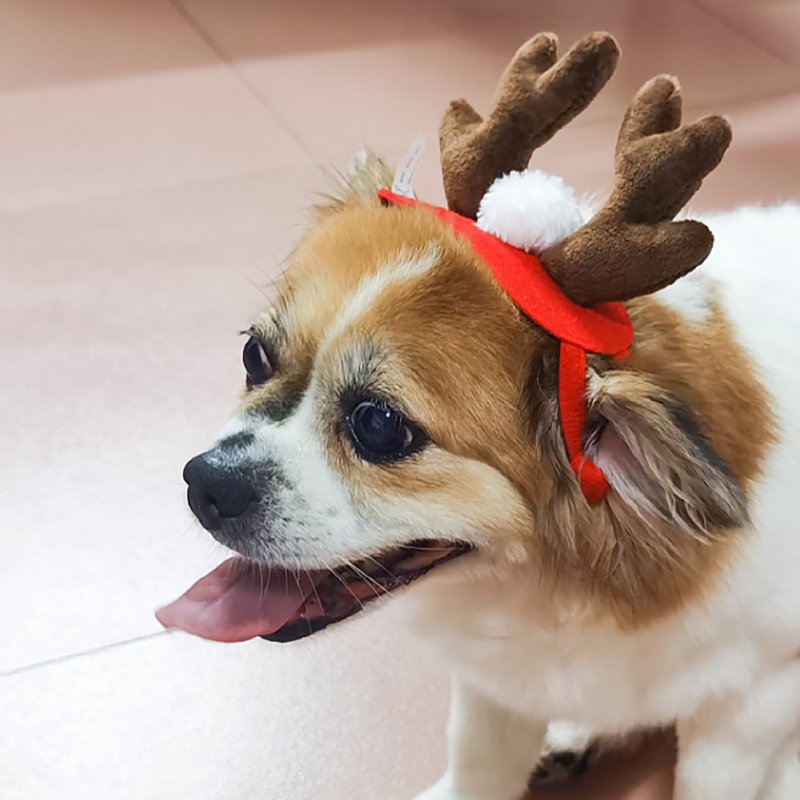Cute Reindeer Antlers Headband for Dog Christmas Doggie Costume Set