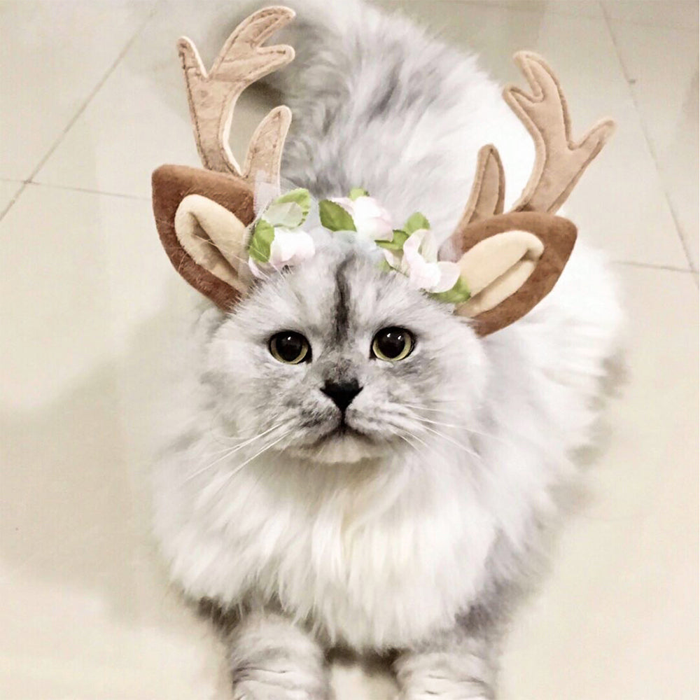 Christmas Pet Accessories Dog Cat Headwear Hat Costumes