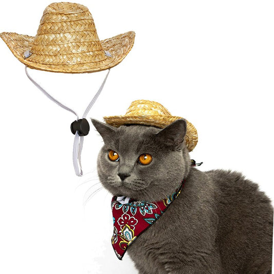 Western Cowboy Style Pet Woven Straw Hat